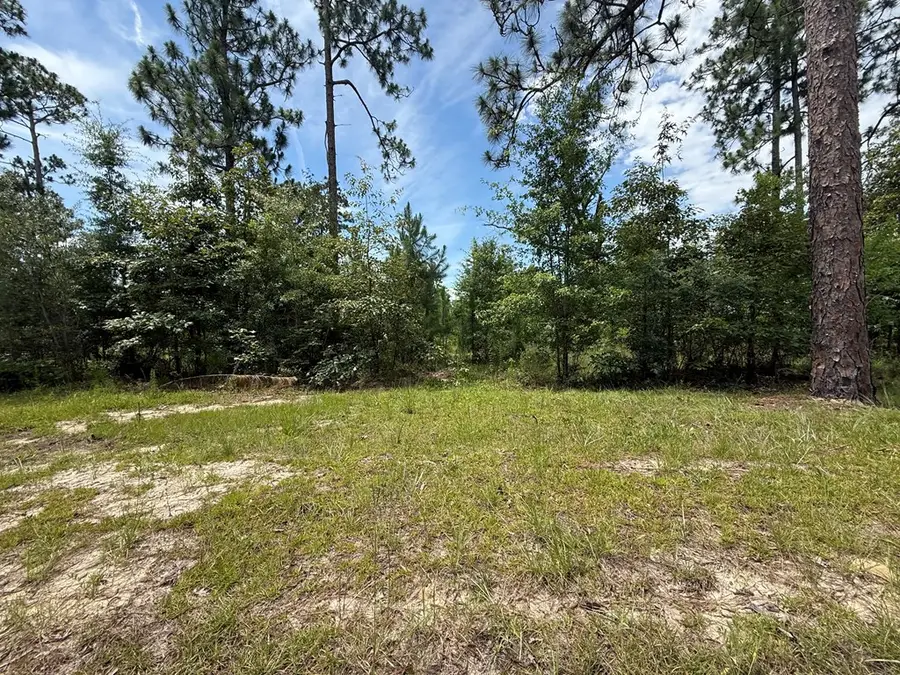 2821 Sunset Dr, Donalsonville, GA 39845 - #3