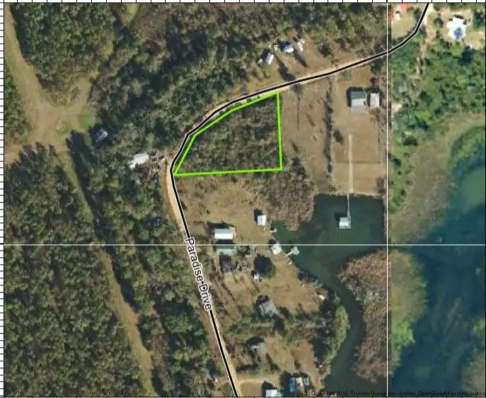 .40 Acre Paradise Dr, Donalsonville, GA 39845 - #1