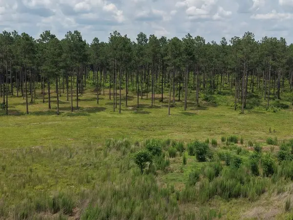 5115 Hwy 200, Blakely, GA 39823