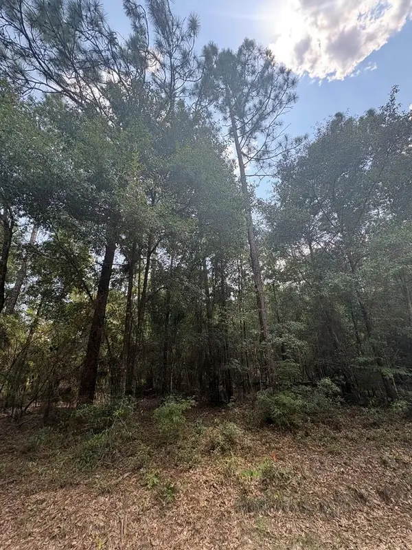 0.49 Ac Spring Creek Drive, Donalsonville, GA 39845
