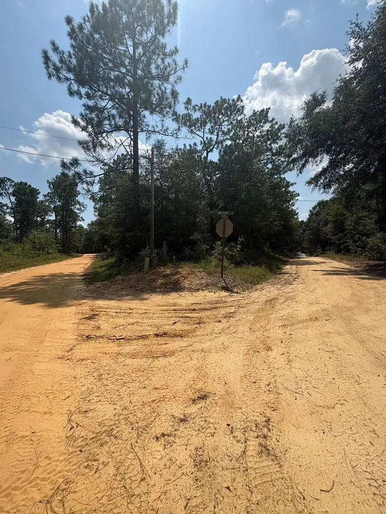 0.49 Ac Spring Creek Drive, Donalsonville, GA 39845 - #2