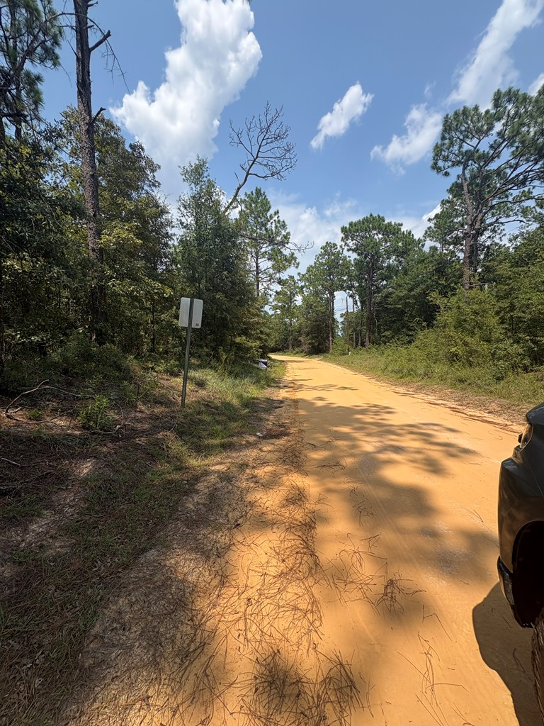 0.49 Ac Spring Creek Drive, Donalsonville, GA 39845 - #3