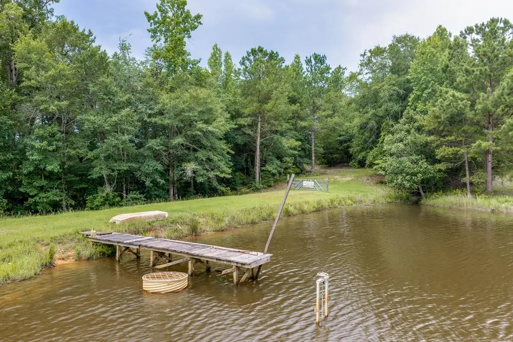 110ac Cotton Hill Road, Fort Gaines, GA 39851 - #1