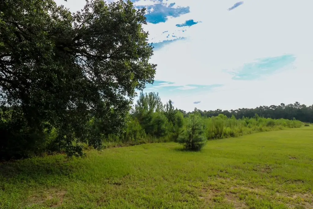 TBD Oak Hill Road, Steam Mill, GA 39845 - #1