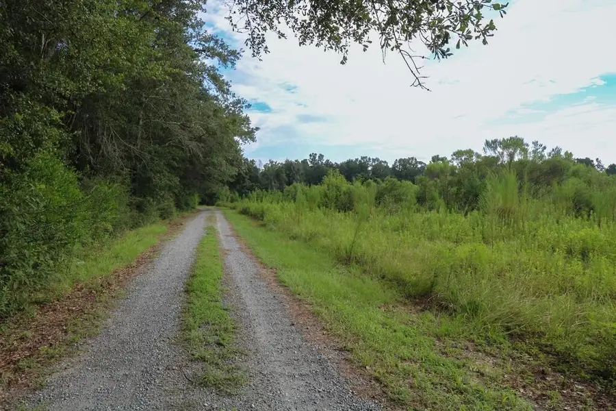 TBD Oak Hill Road, Steam Mill, GA 39845 - #3