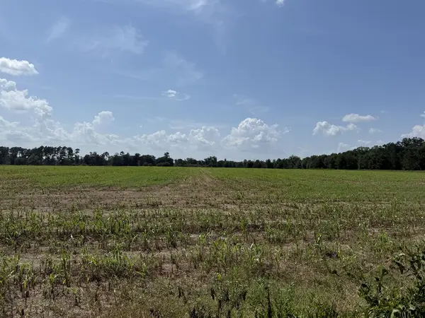 000 1150 Day Rd, Brinson, GA 39825