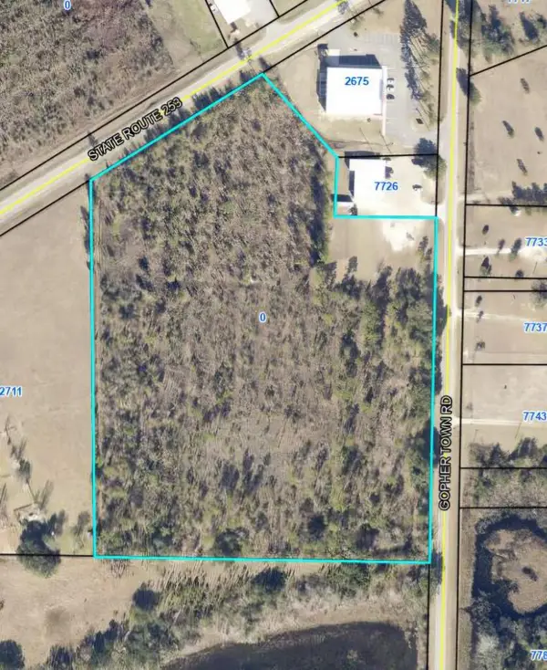 13 acres Highway 253, Donalsonville, GA 39845