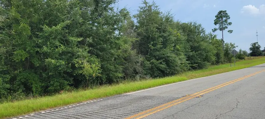 13 acres Highway 253, Donalsonville, GA 39845 - #3
