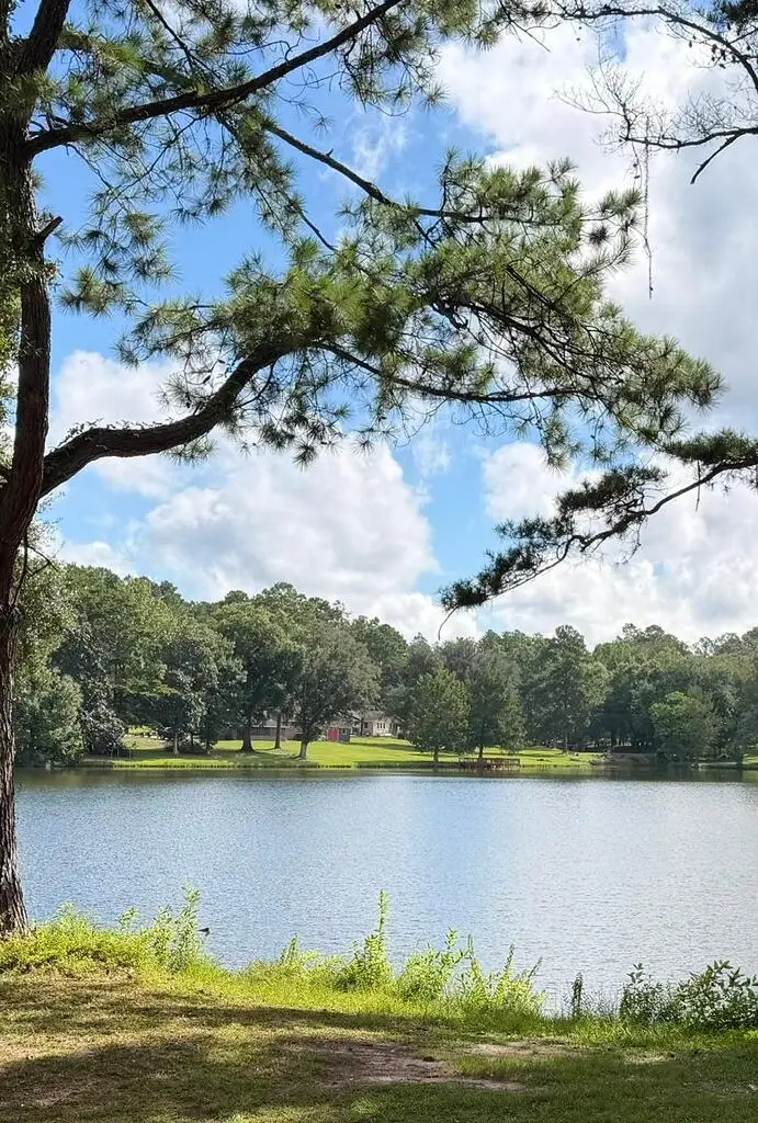 3016-E Hadley Ferry Road, Cairo, GA 39828 - #1