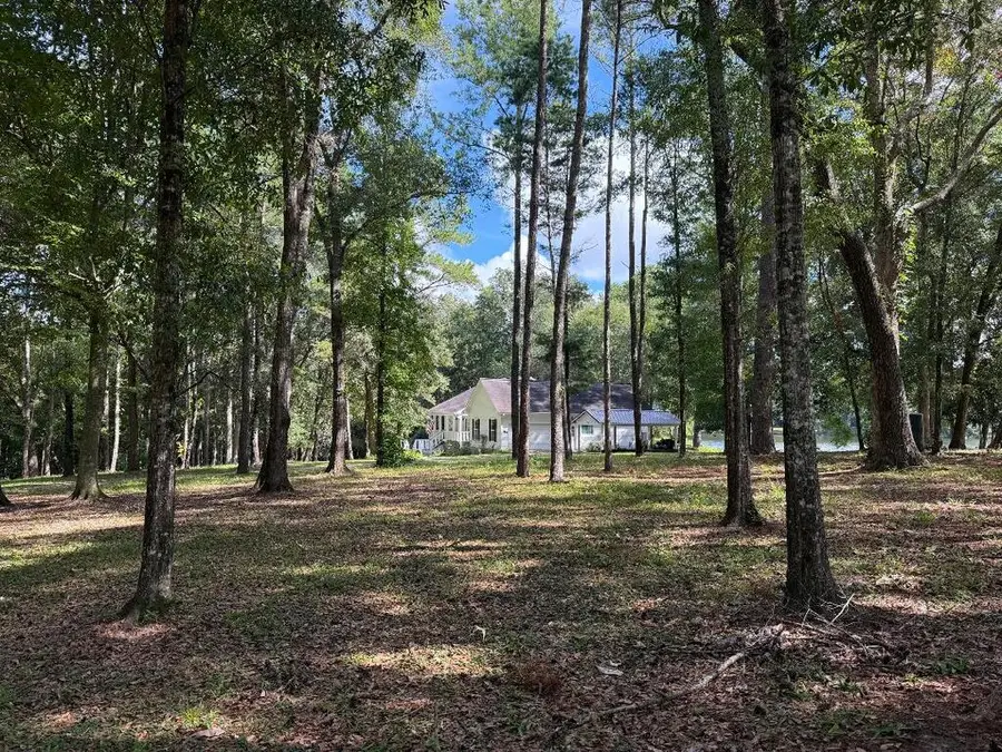 3016-E Hadley Ferry Road, Cairo, GA 39828 - #3