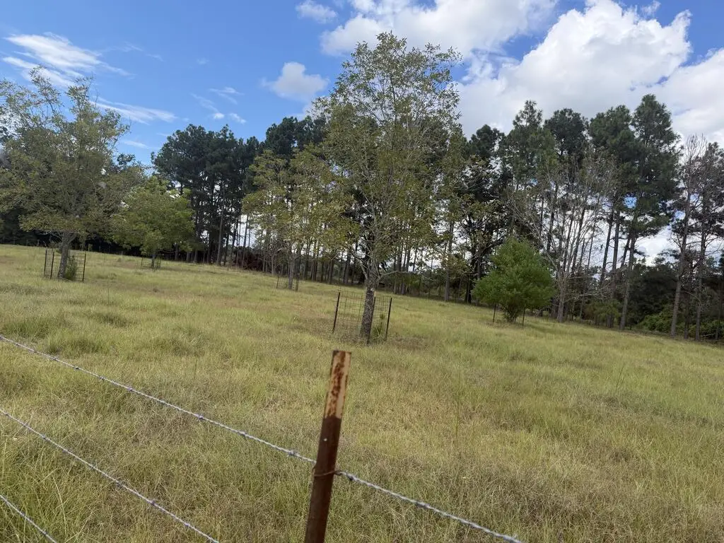 00 Griggs Lucille Rd, Colquitt, GA 39837 - #1