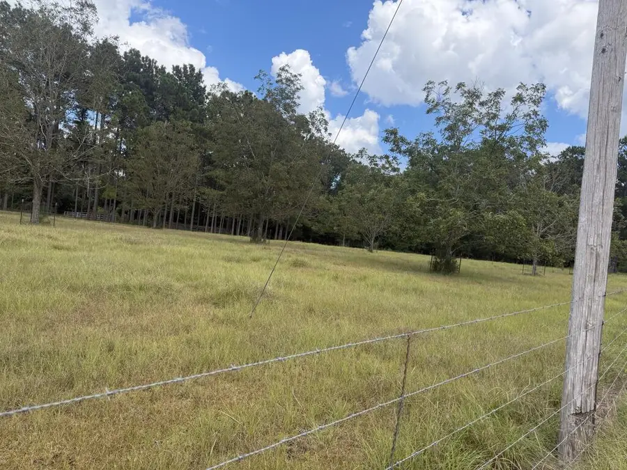 00 Griggs Lucille Rd, Colquitt, GA 39837 - #3