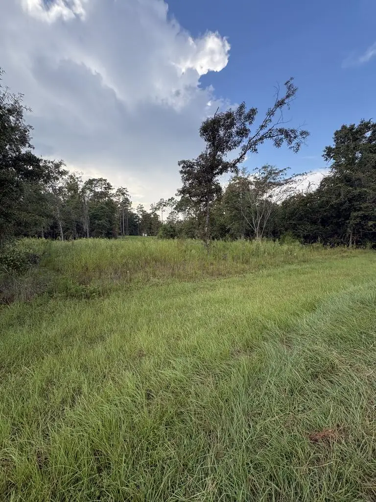 Lot 60 Lake Carroll Drive Lot 60, Donalsonville, GA 39845 - #3