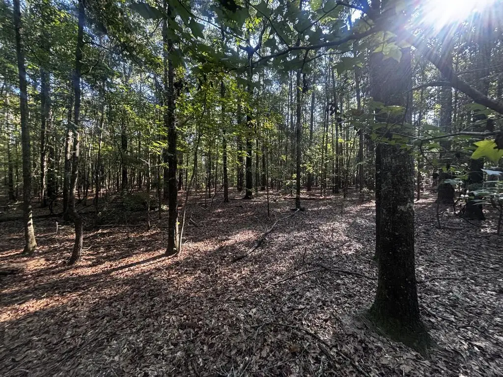 6.34 ac Sandy Branch Rd, Fort Gaines, GA 39851 - #1