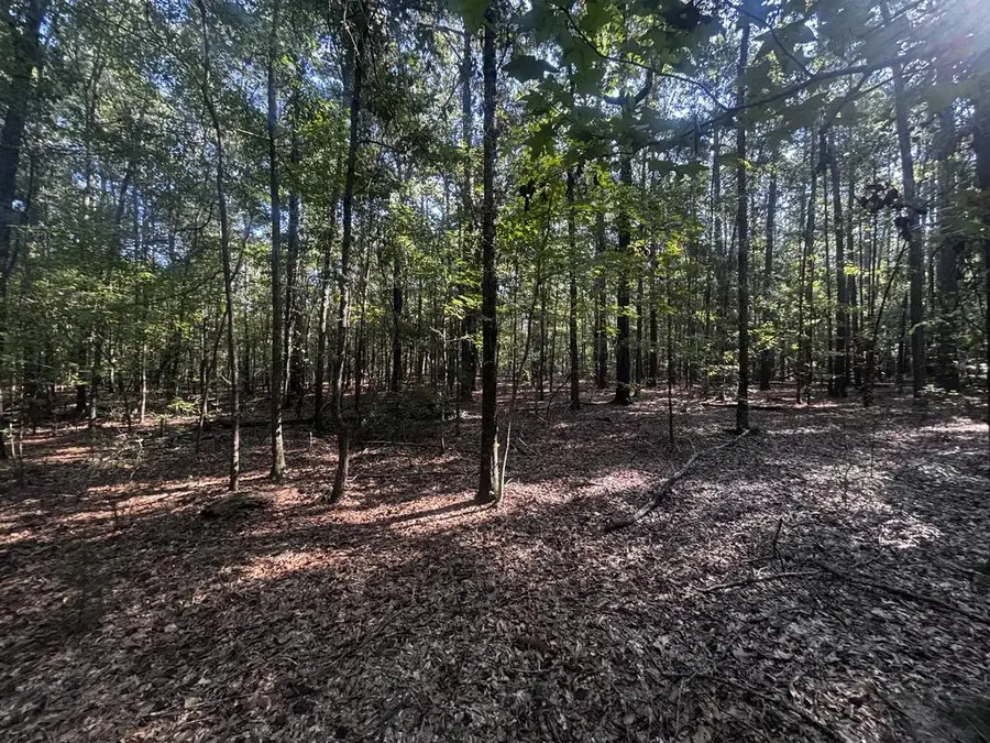 6.34 ac Sandy Branch Rd, Fort Gaines, GA 39851 - #2