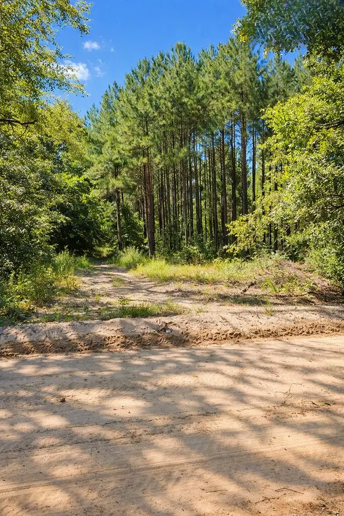 570 Bethany Church Road, Brinson, GA 39825 - #3