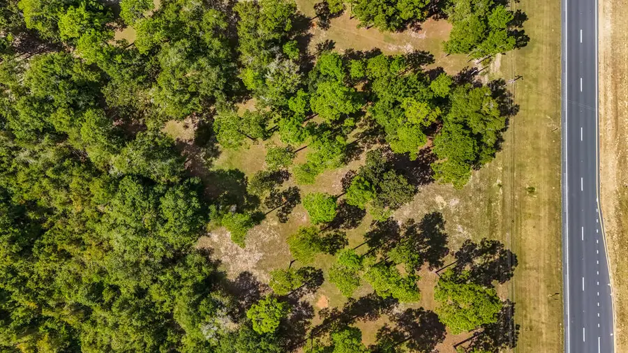 Lot 160 Thomasville Road, Bainbridge, GA 39819 - #2