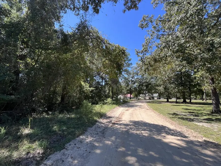 2581 Holly Drive Loop, Donalsonville, GA 39845 - #3