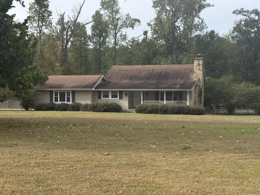 218 Hidden Springs Rd, Climax, GA 39834 - #1