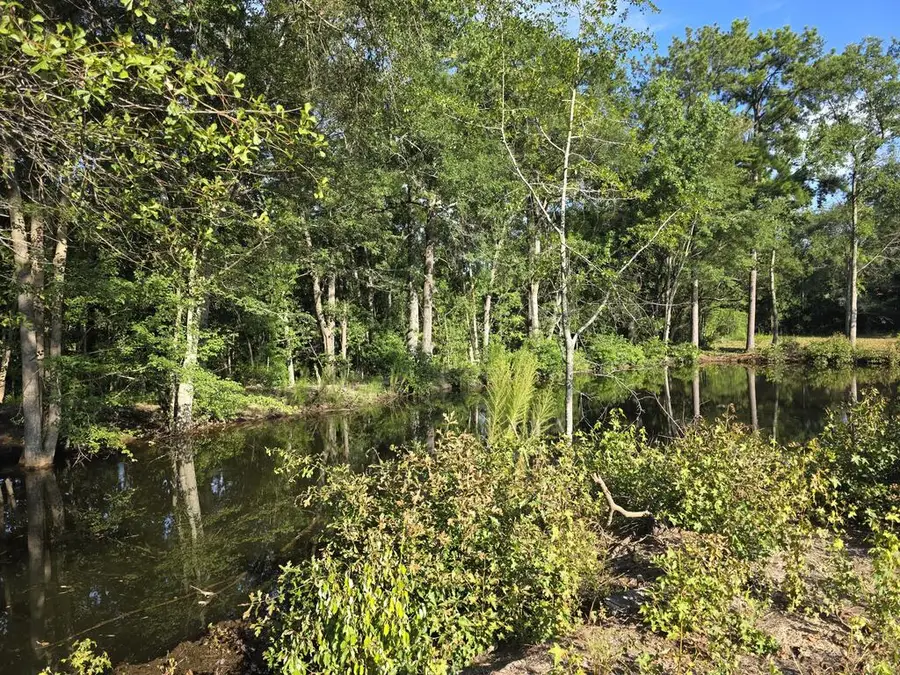 371 Pear, Pavo, GA 31778 - #3