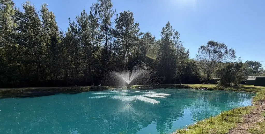 333 Confederate Naval Yard Rd, Jakin, GA 39861 - #1