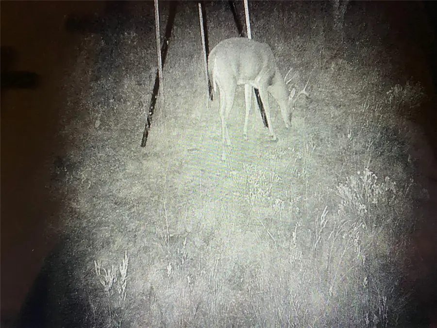 #3