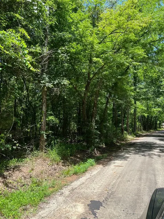 TBD Cr 1670, Mount Pleasant, TX 75455 - Image #3