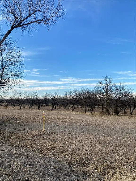 Lot 4 Port O Call Drive, Runaway Bay, TX 76426 - #2