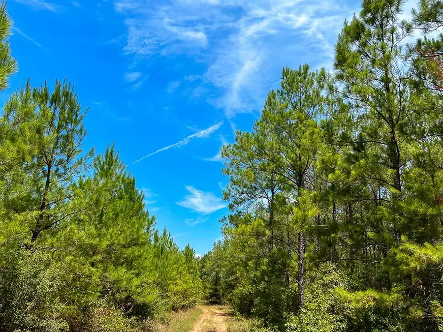 0 Lost Indian Camp Rd, Huntsville, TX 77320 - #2