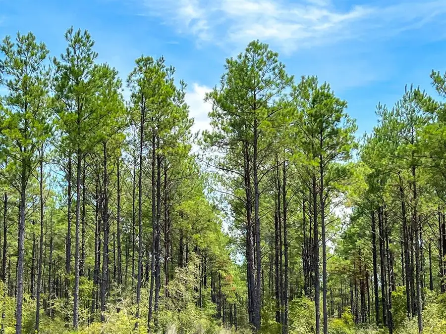 0 Lost Indian Camp Rd, Huntsville, TX 77320 - #3