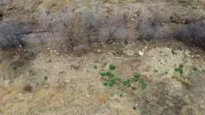 11509 Alta Vista Road, Fort Worth, TX 76244 - #2