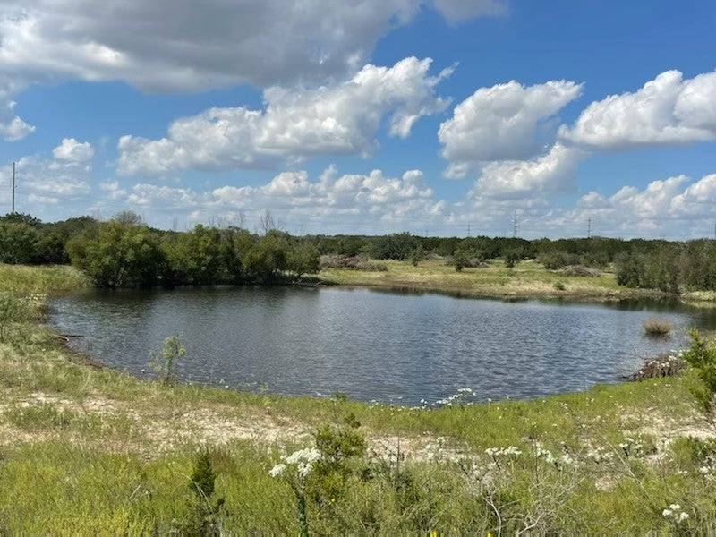 TBD Us Hwy 183 S, Goldthwaite, TX 76844 ERA