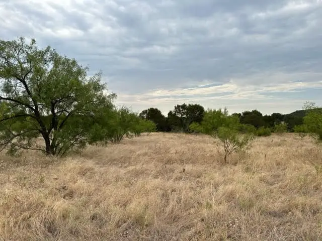 Lot 419 Canyon Wren Loop, Graford, TX 76449 - #1