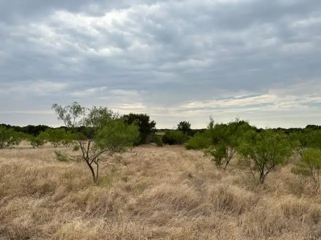 Lot 419 Canyon Wren Loop, Graford, TX 76449 - #3