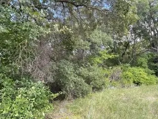 #3