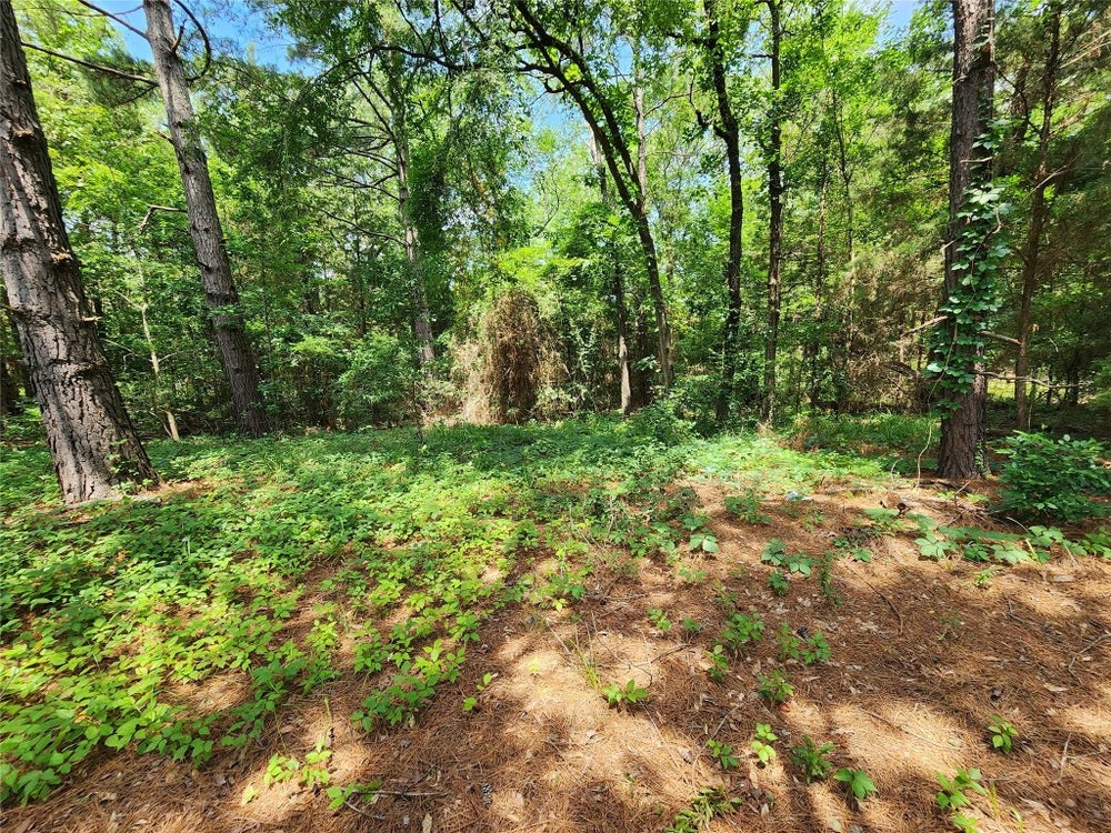 TBD County Road 2150, Quitman, TX 75783 ERA