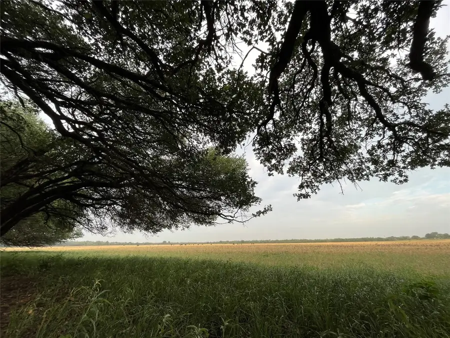 TBD Cr 131, Tuscola, TX 79562 - #2