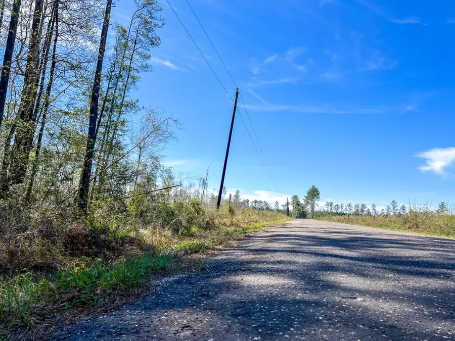 1 County Road 443, Kirbyville, TX 75956 - Image #2