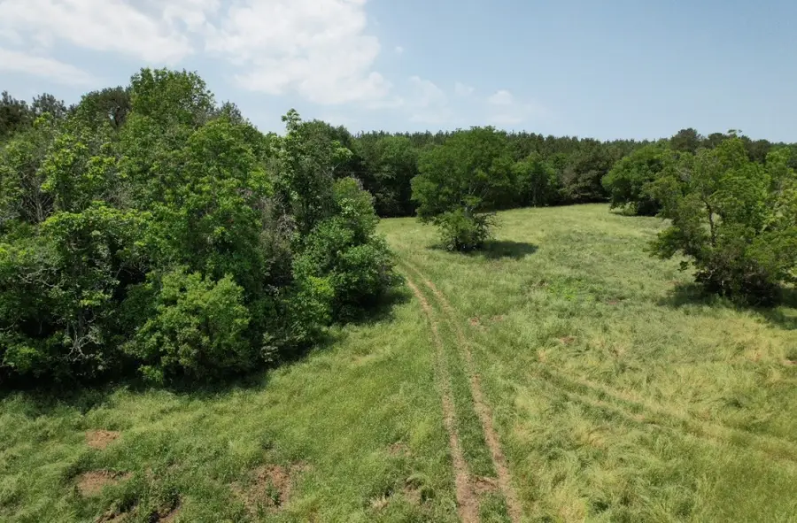 TBD-C County Road 4653, Tenaha, TX 75974 - Image #2