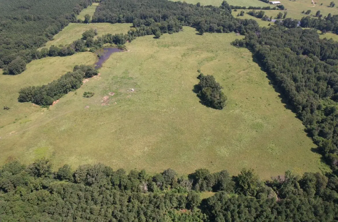 TBD-B Cr 4037, Timpson, TX 75975 - Image #1