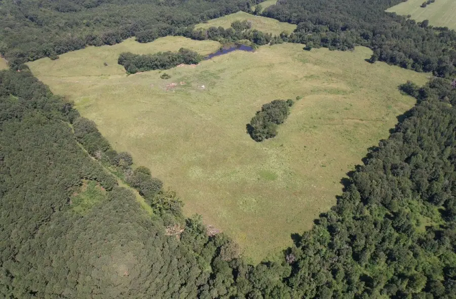 TBD-B Cr 4037, Timpson, TX 75975 - Image #2