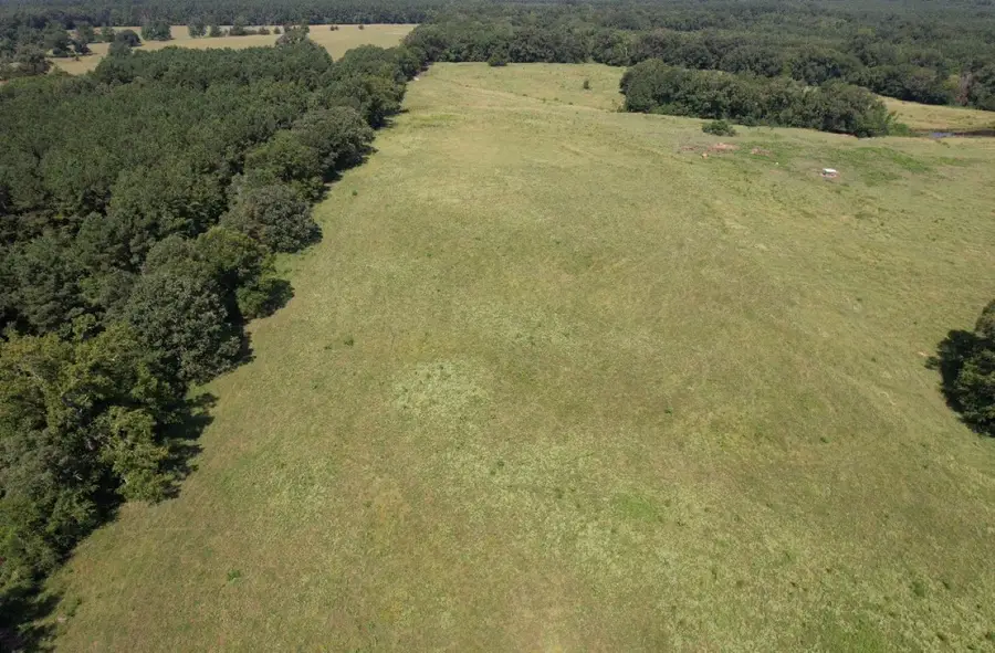 TBD-B Cr 4037, Timpson, TX 75975 - Image #3