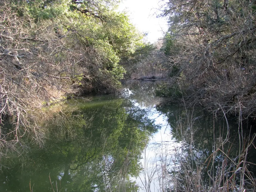 TBD County Road 186, Jonesboro, TX 76538 - Image #2