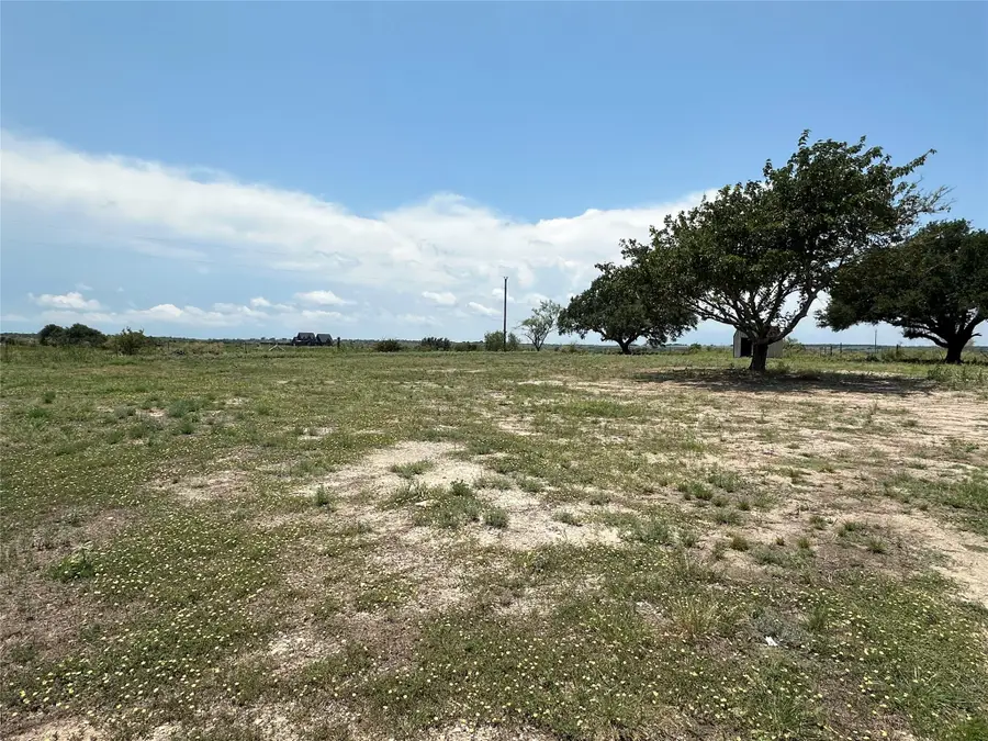 7404 Boswell Court, Lipan, TX 76462 - Image #3