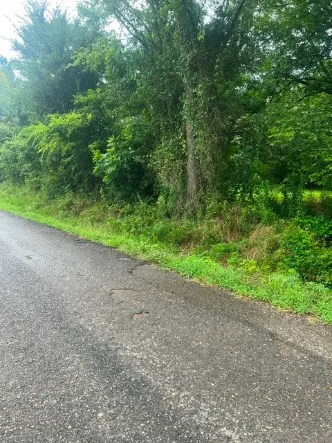 0 Highway 539, Mansfield, LA 71052 - #2