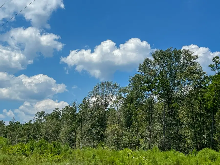 0007 Purvis Boulevard, Corrigan, TX 75939 - #3