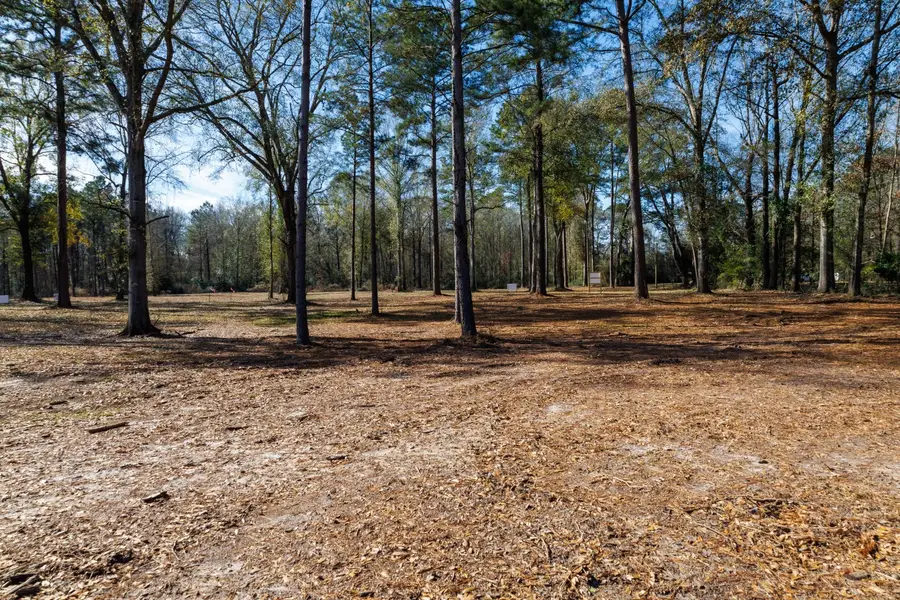 TBD (Lot 1) County Road 3545, Joaquin, TX 75954 - Image #2