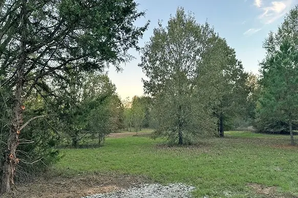 #2