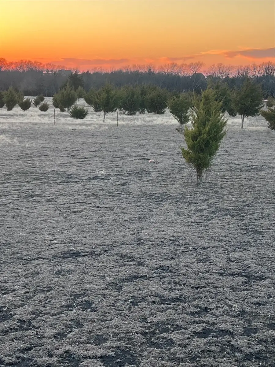 1110 County Road 697, Farmersville, TX 75442 - #3