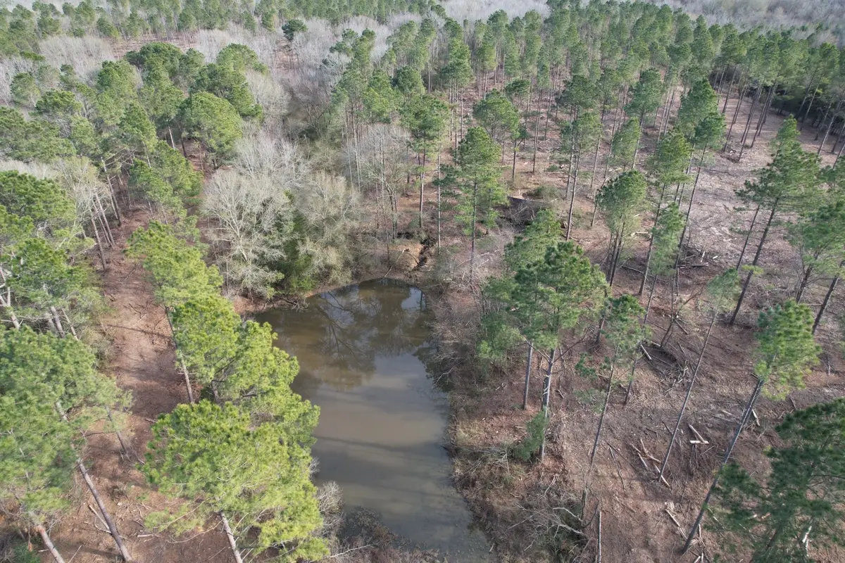 Tract A County Road 4037, Timpson, TX 75975 - Image #1